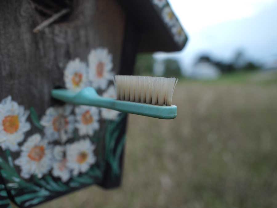 Birdhouse Toothbrush