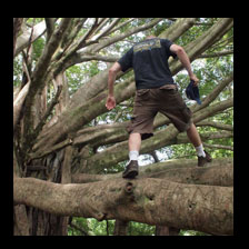 Karl in Tree